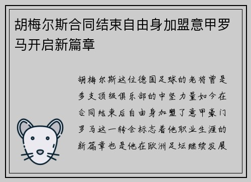 胡梅尔斯合同结束自由身加盟意甲罗马开启新篇章